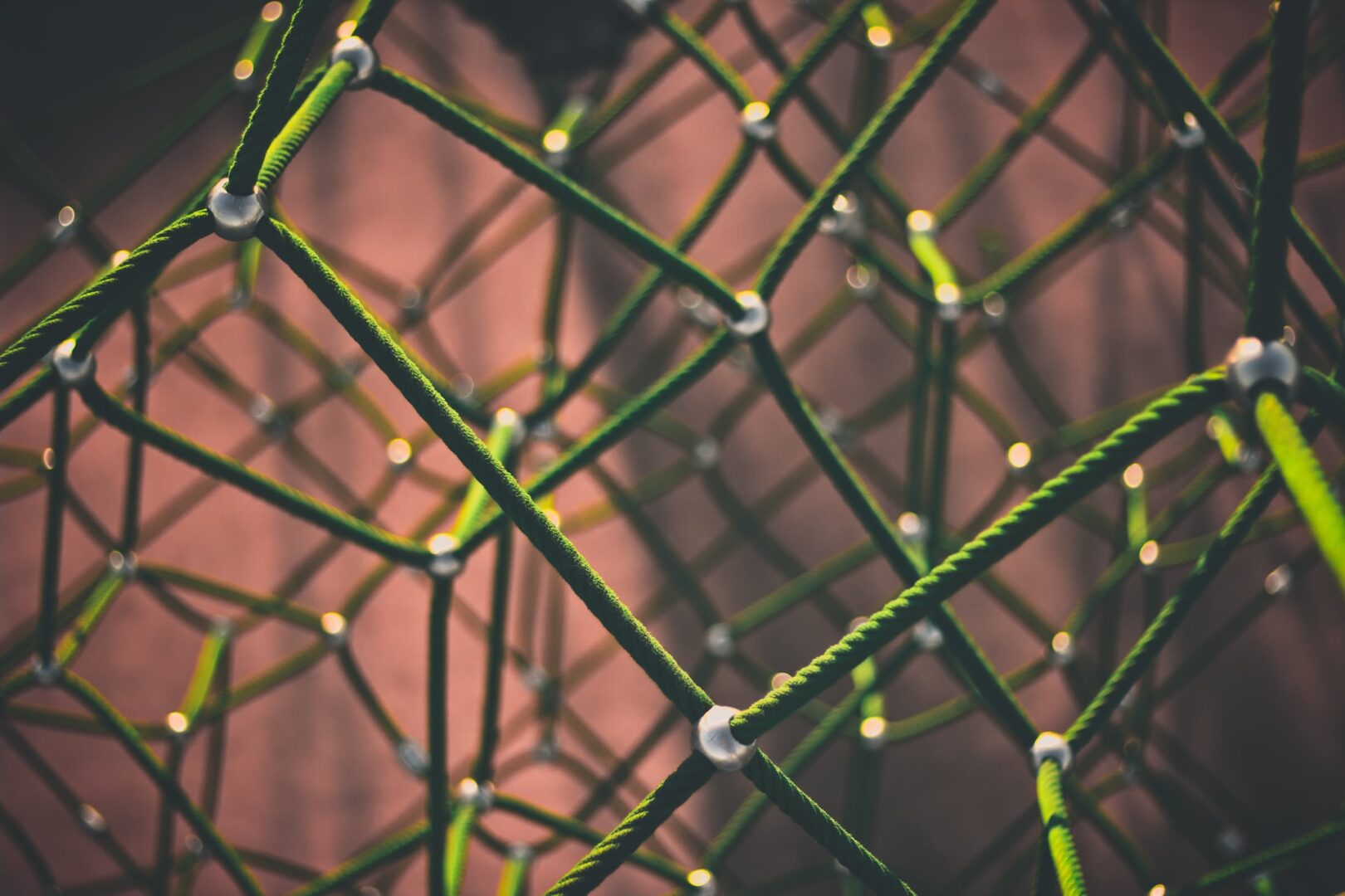 A close up of some green plants with white dots